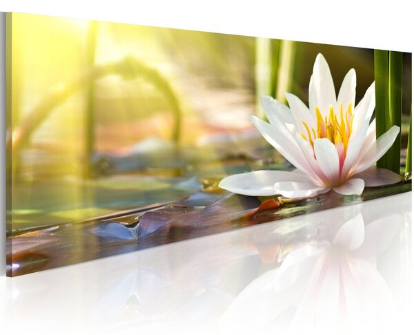 Canvas Tavla - Lotus' Glow - 150x50