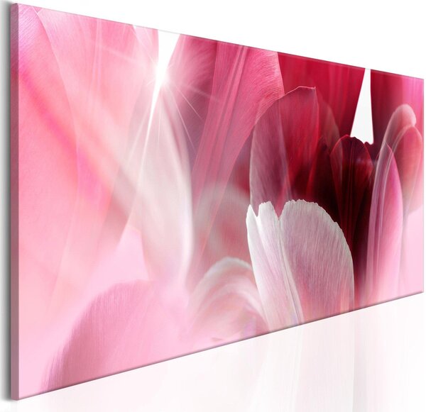 Canvas Tavla - Flowers: Pink Tulips - 135x45
