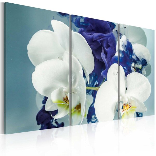 Canvas Tavla - Chimär orkidéer - 60x40