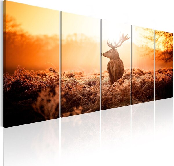 Canvas Tavla - Deer at Sunset - 225x90
