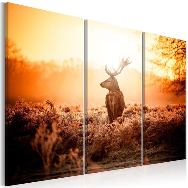 Canvas Tavla - Deer in the Sun I - 90x60