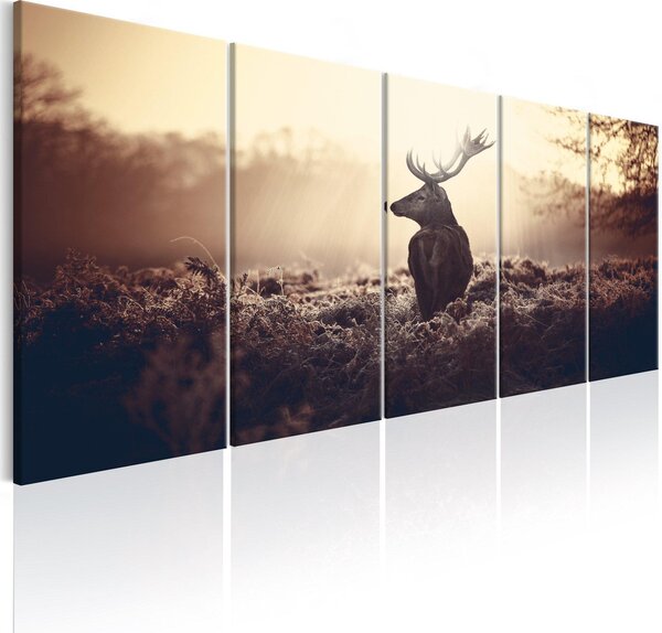 Canvas Tavla - Stag in the Wilderness - 225x90