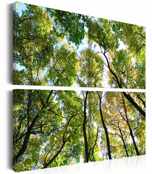 Canvas Tavla - Treetops - 40x40