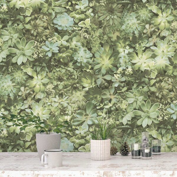 Noordwand Tapet Evergreen Succulent grön och beige