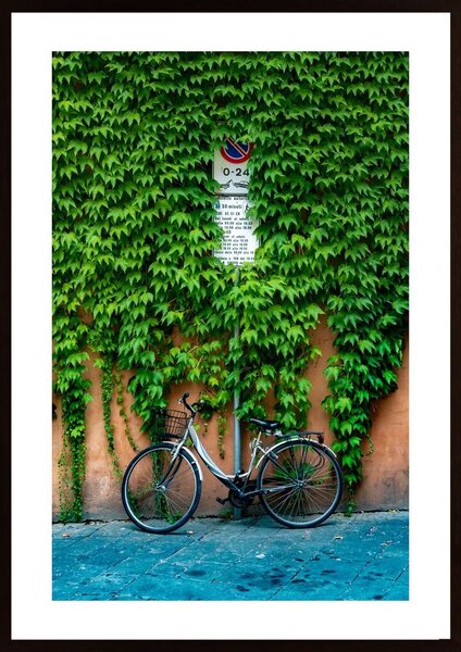 Bicycle Illegally Parked Poster