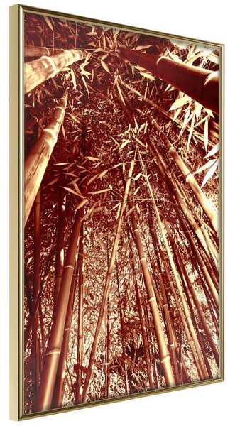 Inramad Poster / Tavla - Asian Forest - 30x45 Guldram