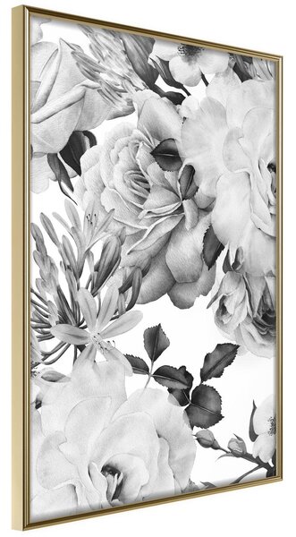 Inramad Poster / Tavla - Black and White Nature - 30x45 Guldram