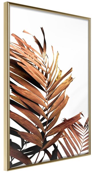 Inramad Poster / Tavla - Copper Palm - 30x45 Guldram