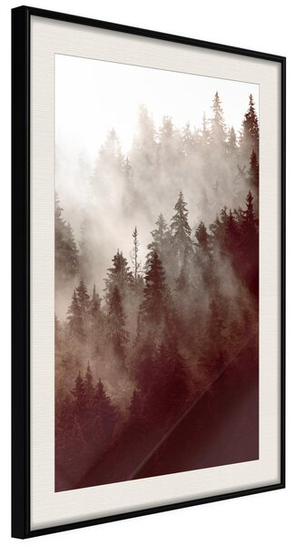 Inramad Poster / Tavla - Forest Fog - 20x30 Svart ram med passepartout