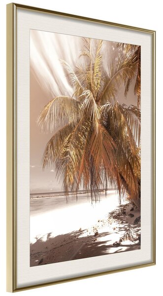 Inramad Poster / Tavla - Paradise in Sepia - 20x30 Guldram med passepartout