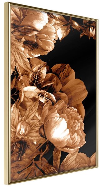 Inramad Poster / Tavla - Summer Flowers in Sepia - 30x45 Guldram