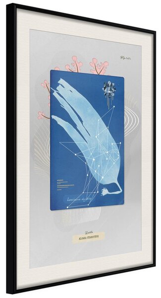 Inramad Poster / Tavla - Alga Cyanotype - 40x60 Svart ram med passepartout