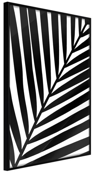 Inramad Poster / Tavla - Black Palm - 20x30 Svart ram