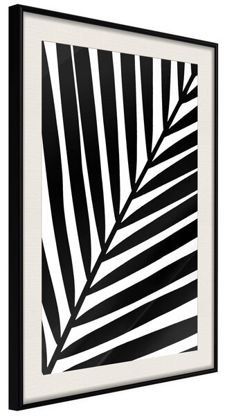 Inramad Poster / Tavla - Black Palm - 30x45 Svart ram med passepartout