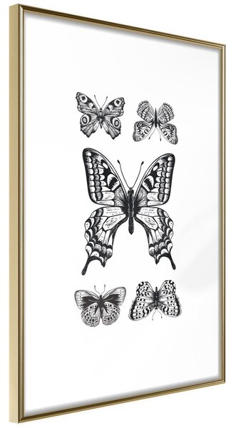 Inramad Poster / Tavla - Butterfly Collection IV - 30x45 Guldram