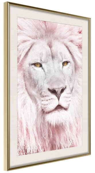Inramad Poster / Tavla - Dreamy Lion - 20x30 Guldram med passepartout