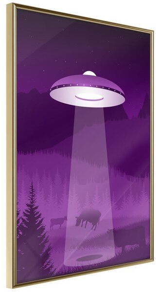 Inramad Poster / Tavla - Flying Saucer - 30x45 Guldram