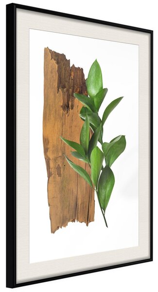 Inramad Poster / Tavla - Forest Bouquet - 20x30 Svart ram med passepartout