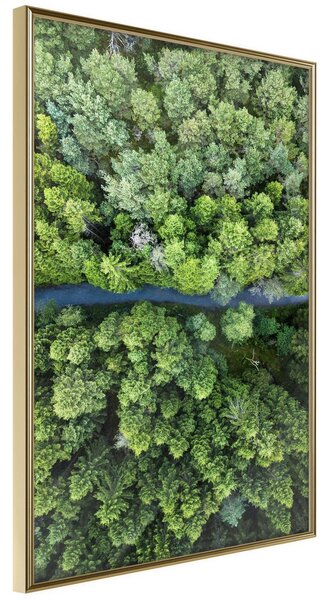 Inramad Poster / Tavla - Forest from a Bird's Eye View - 20x30 Guldram