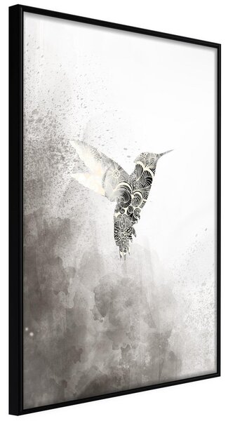 Inramad Poster / Tavla - Hummingbird in Shades of Grey - 20x30 Svart ram