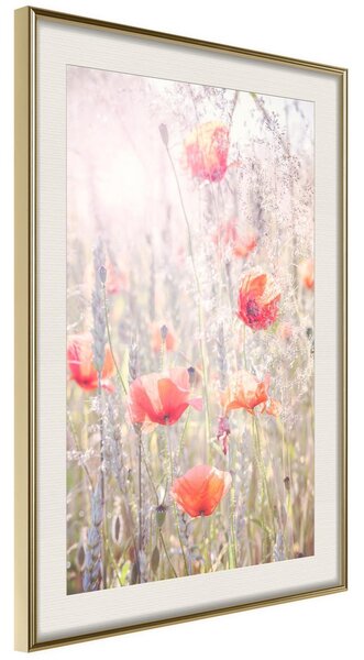 Inramad Poster / Tavla - Poppies - 20x30 Guldram med passepartout