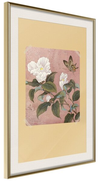 Inramad Poster / Tavla - Rhododendron and Butterfly - 20x30 Guldram med passepartout