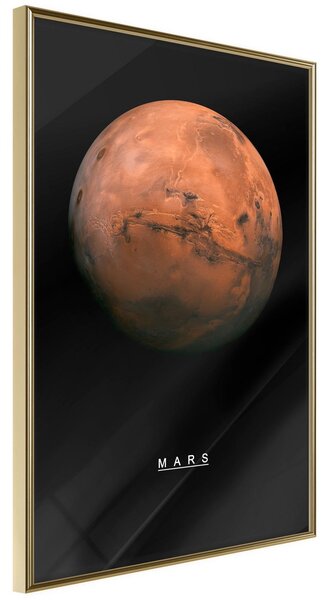 Inramad Poster / Tavla - The Solar System: Mars - 20x30 Guldram