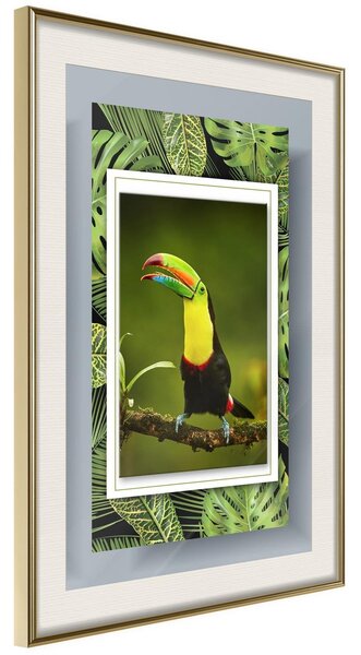 Inramad Poster / Tavla - Toucan in the Frame - 20x30 Guldram med passepartout