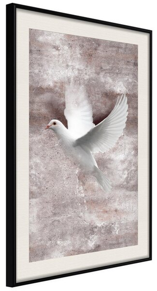 Inramad Poster / Tavla - White Dreams - 20x30 Svart ram med passepartout