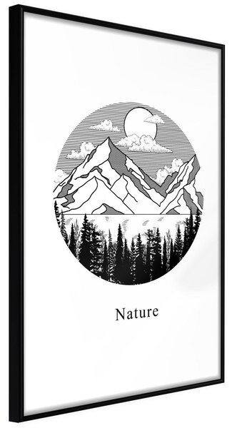 Inramad Poster / Tavla - Wonders of Nature - 40x60 Svart ram