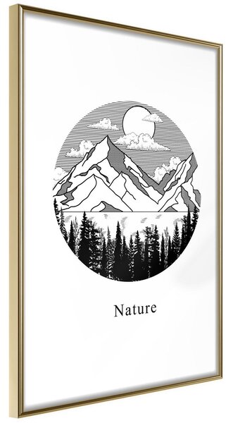 Inramad Poster / Tavla - Wonders of Nature - 30x45 Guldram