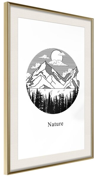 Inramad Poster / Tavla - Wonders of Nature - 30x45 Guldram med passepartout