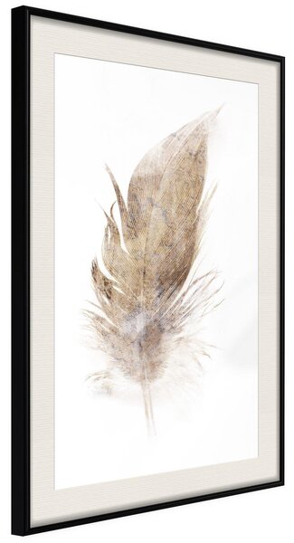 Inramad Poster / Tavla - Lost Feather (Beige) - 30x45 Svart ram med passepartout