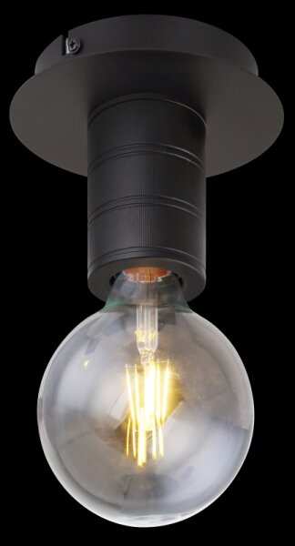Globo 54030-1D - Takbelysning HERMINE 1xE27/60W/230V