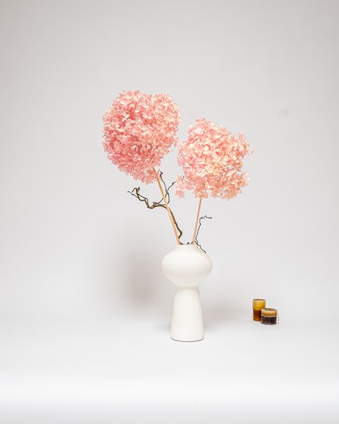 Hortensia Blekt Rosa – Konserverade Blommor