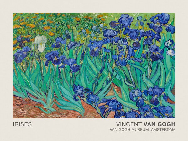 Konsttryck Irises (Museum Vintage Floral / Flower Landscape) - Vincent van Gogh, (40 x 30 cm)