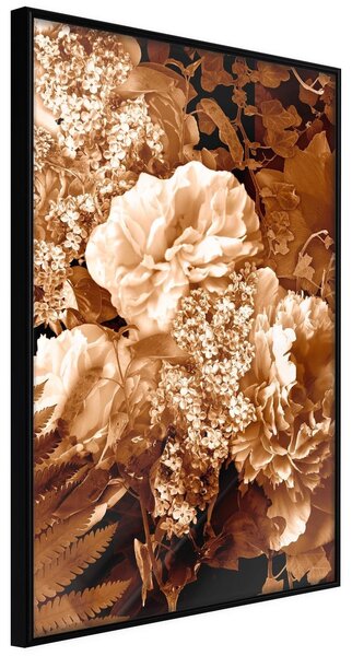 Inramad Poster / Tavla - Bouquet in Sepia - 20x30 Svart ram