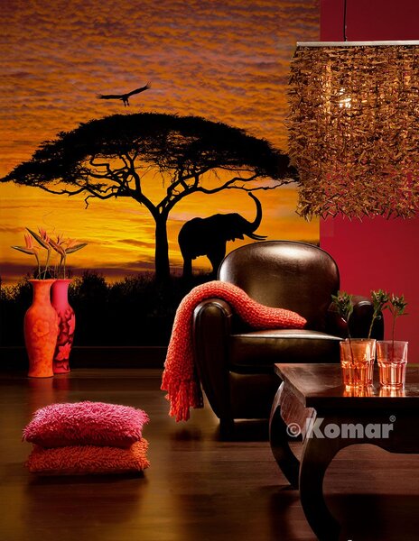 African sunset 304-501 - Fototapet savanne