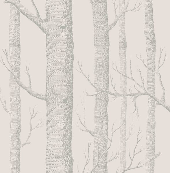 Woods - Parchment
