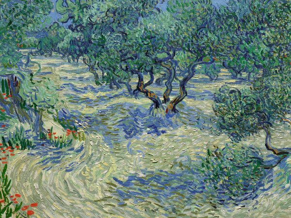 Bildreproduktion Olive Orchard - Vincent van Gogh