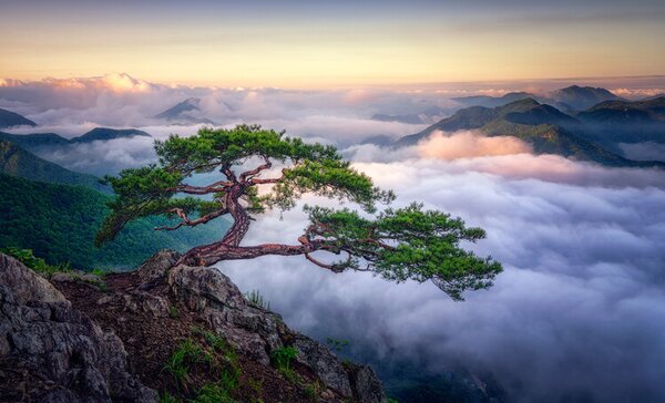 Fotografi On the rock, Tiger Seo