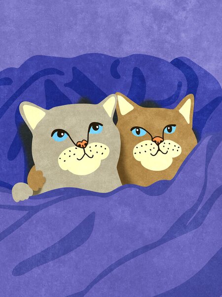 Illustration Cats in Bed, Raissa Oltmanns