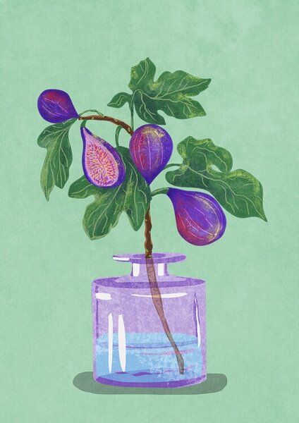 Illustration Figs Branch In Vase, Raissa Oltmanns