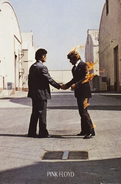 Poster, Affisch Pink Floyd - Wish You Were Here, (61 x 91.5 cm)