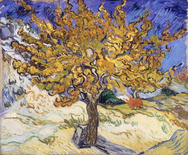 Vincent van Gogh - Konsttryck Mulberry Tree, 1889, (40 x 35 cm)