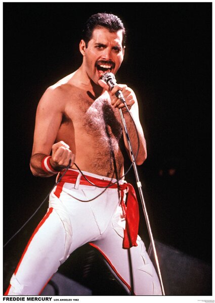 Poster, Affisch Queen (Freddie Mercury) - Los Angeles 1982, (59.4 x 84 cm)