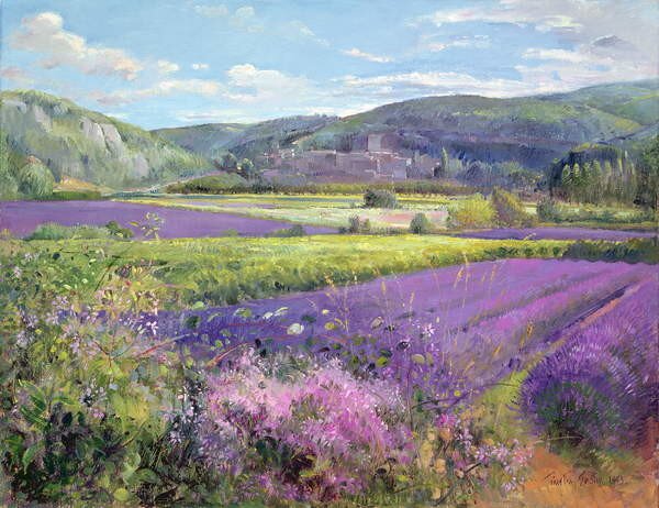 Timothy Easton - Konsttryck Lavender Fields in Old Provence, (40 x 30 cm)