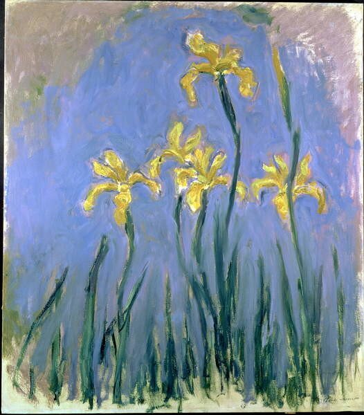 Monet, Claude - Konsttryck Yellow Irises; Les Iris Jaunes, c.1918-1925, (35 x 40 cm)