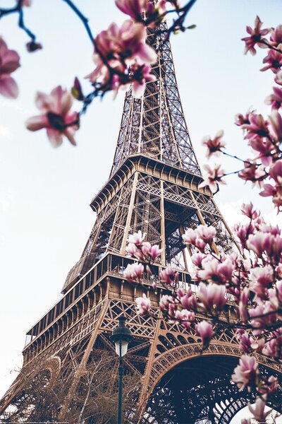 Poster, Affisch Paris - Eiffeltornet