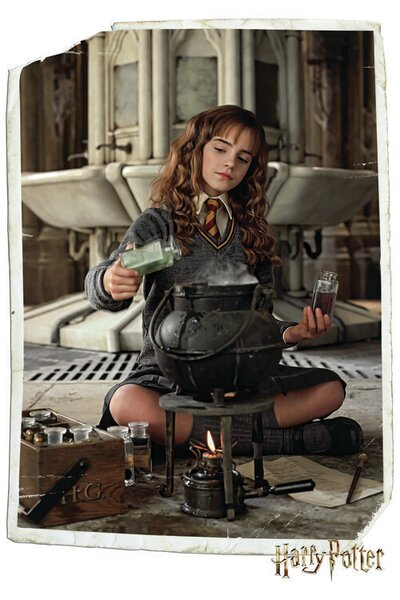 Poster, Affisch Harry Potter - Hermione Granger